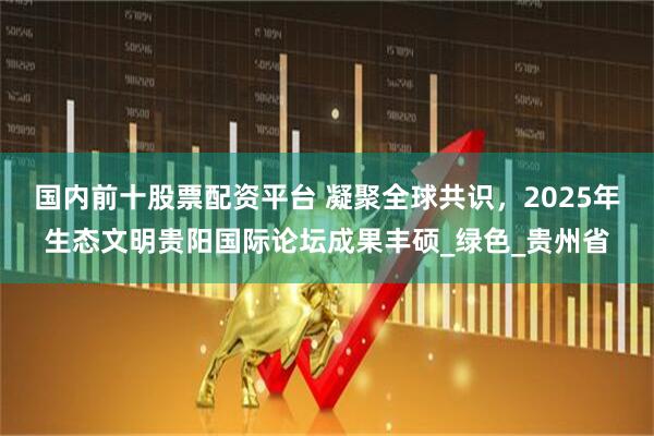 国内前十股票配资平台 凝聚全球共识，2025年生态文明贵阳国际论坛成果丰硕_绿色_贵州省
